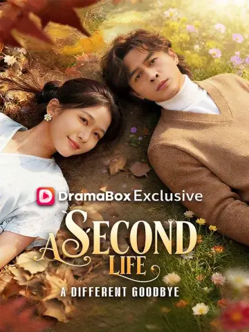 A Second Life, A Different Goodbye poster