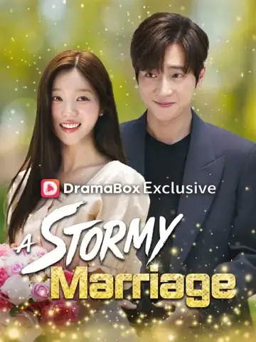 A Stormy Marriage poster