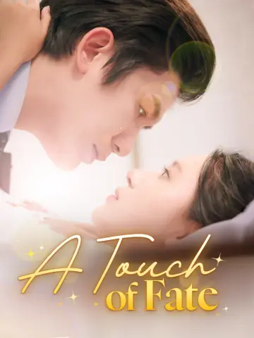 A Touch of Fate poster