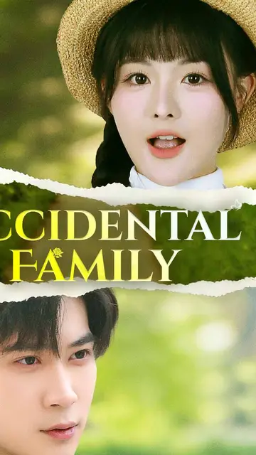 Accidental Family