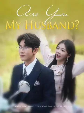Are You My Husband poster