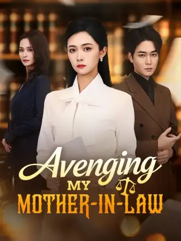 Avenging My Mother-In-Law poster