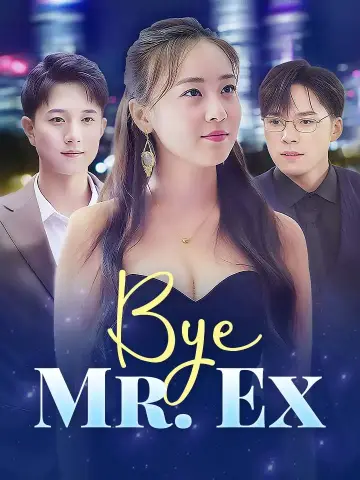 Bye, Mr. Ex poster