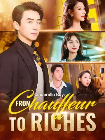 Cinderella Boy: From Chauffeur To Riches poster