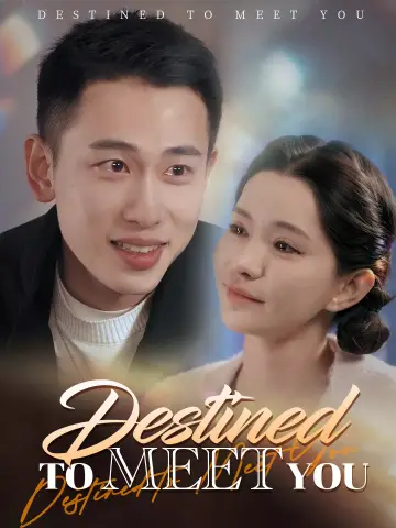 Destined to Meet You poster