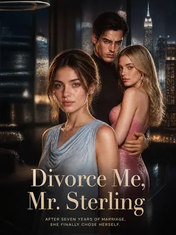 Divorce Me, Mr. Sterling poster