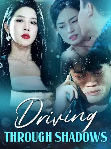 Driving Through Shadows poster