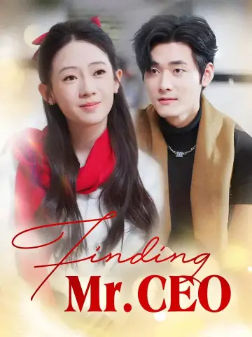Finding Mr. CEO poster