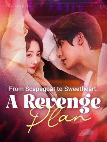 From Scapegoat to Sweetheart: A Revenge Plan poster