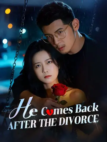 He Comes Back After The Divorce poster