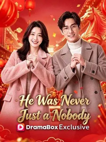 He Was Never Just a Nobody poster
