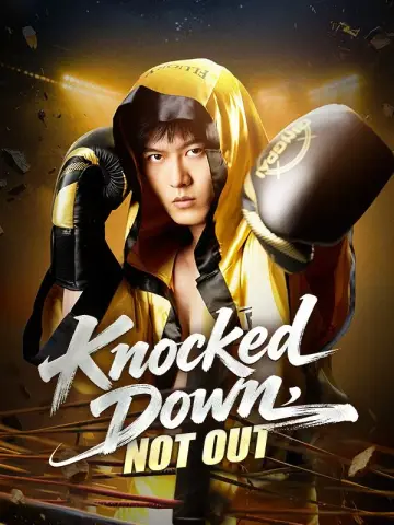 Knocked Down, Not Out poster