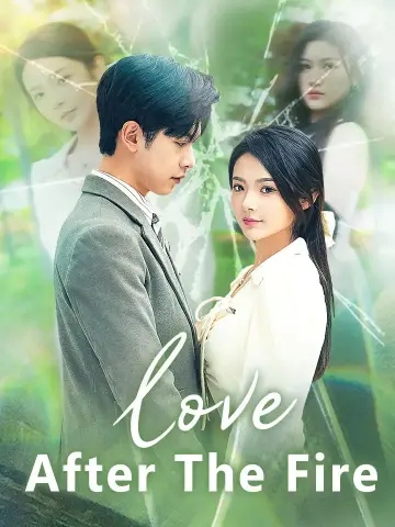 Love After The Fire poster