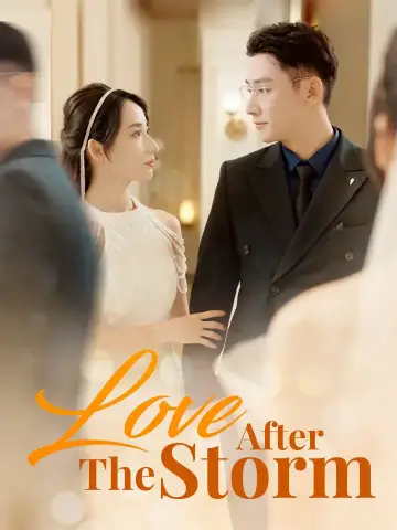 Love After The Storm poster