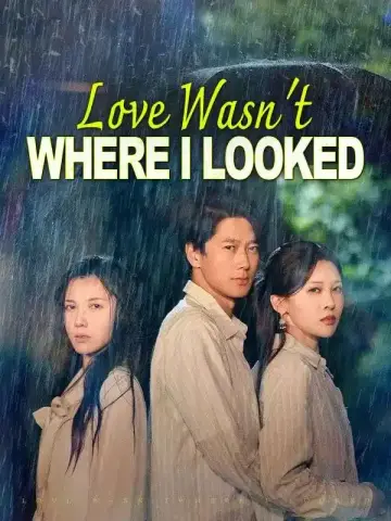 Love Wasn't Where I Looked poster