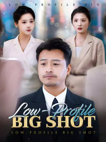 Low-Profile Big Shot poster