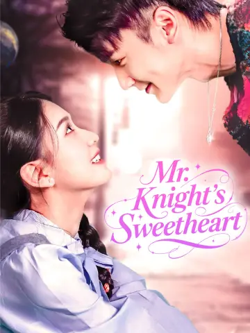 Mr. Knight's Sweetheart poster