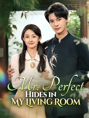 Mr. Perfect Hides in My Living Room poster