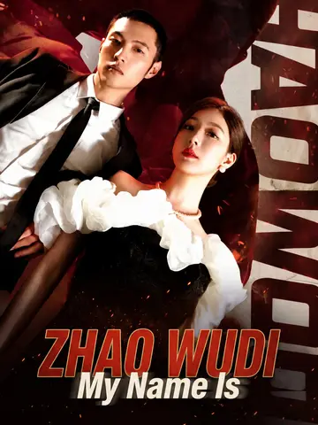 My Name Is Zhao Wudi