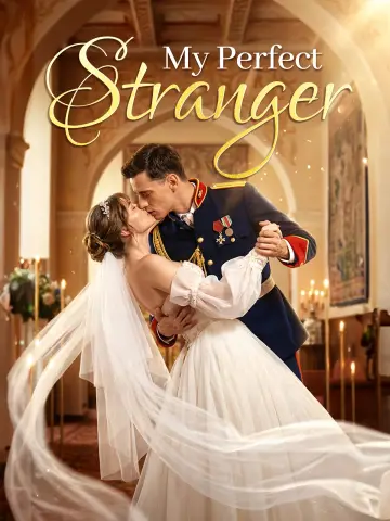 My Perfect Stranger poster