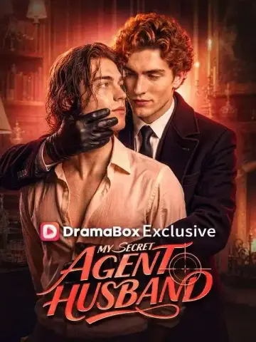 My Secret Agent Husband poster