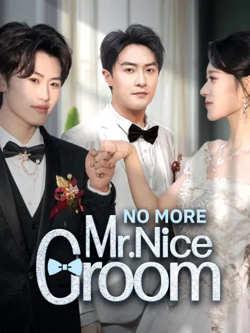 No More Mr. Nice Groom