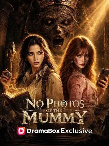 No Photos of the Mummy poster