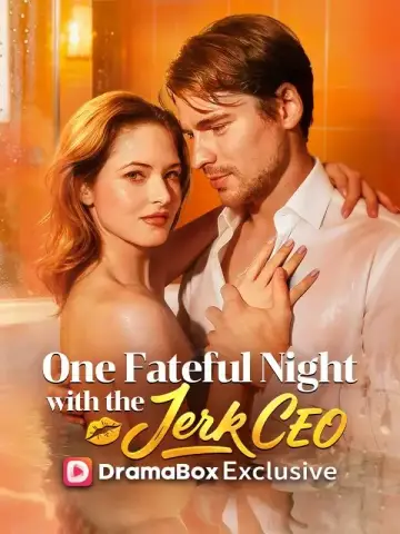 One Fateful Night With The Jerk CEO poster