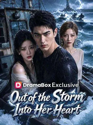 Out of the Storm, Into Her Heart poster