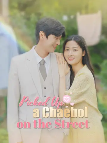 Picked Up a Chaebol on the Street