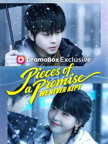 Pieces of a Promise We Never Kept poster