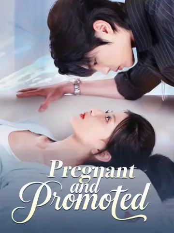 Pregnant and Promoted poster