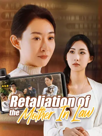 Retaliation Of The Mother In Law poster