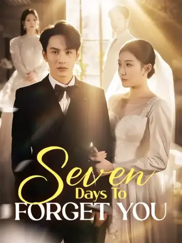 Seven Days To Forget You poster
