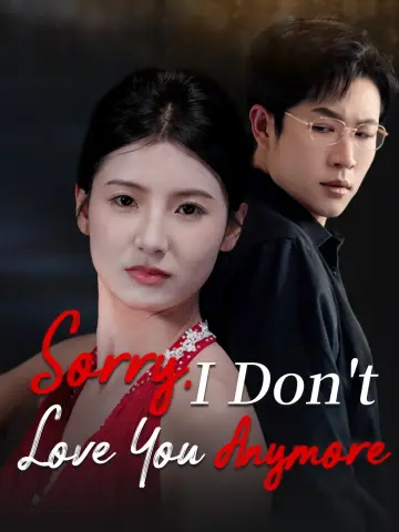 Sorry, I Don't Love You Anymore poster