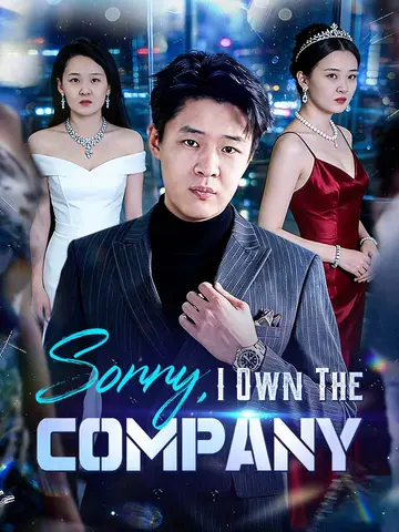 Sorry, I Own The Company poster