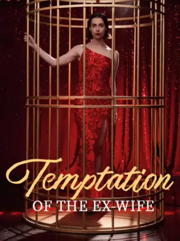 Temptation of the Ex-Wife poster