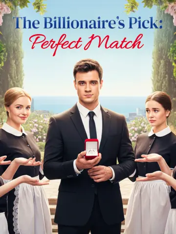 The Billionaire’s Pick: Perfect Match poster