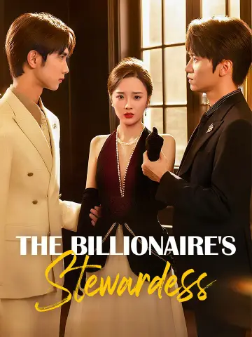 The Billionaire's Stewardess poster
