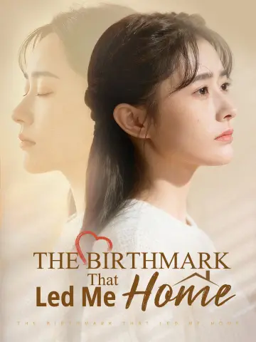 The Birthmark That Led Me Home poster