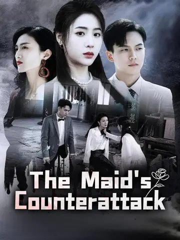 The Maid's Counterattack poster