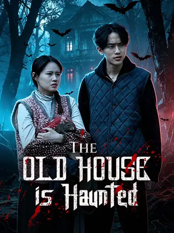 The old house is haunted poster