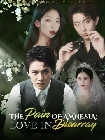 The Pain of Amnesia: Love in Disarray poster