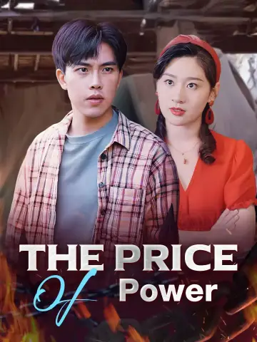 The Price Of Power poster