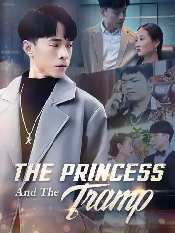 The Princess And The Tramp poster