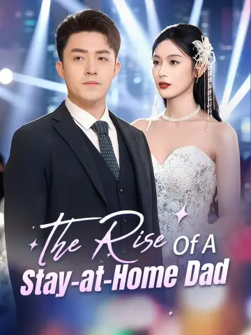 The Rise Of A Stay-at-Home Dad poster