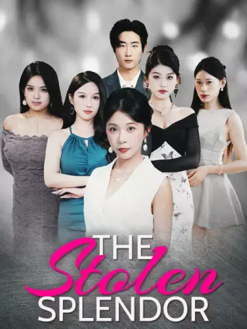 The Stolen Splendor poster