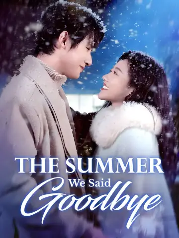 The Summer We Said Goodbye poster