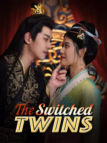 The Switched Twins poster