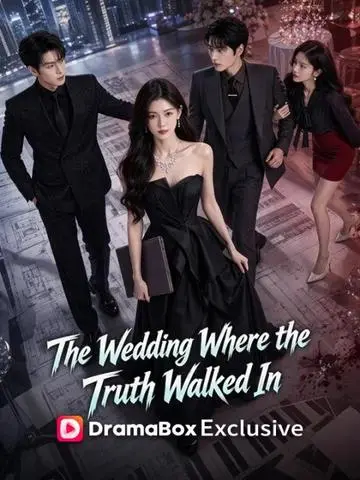 The Wedding Where the Truth Walked In poster
